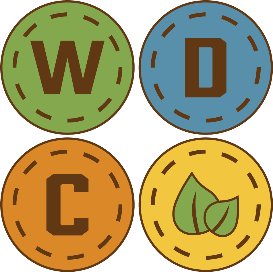 Wonder Day Camp