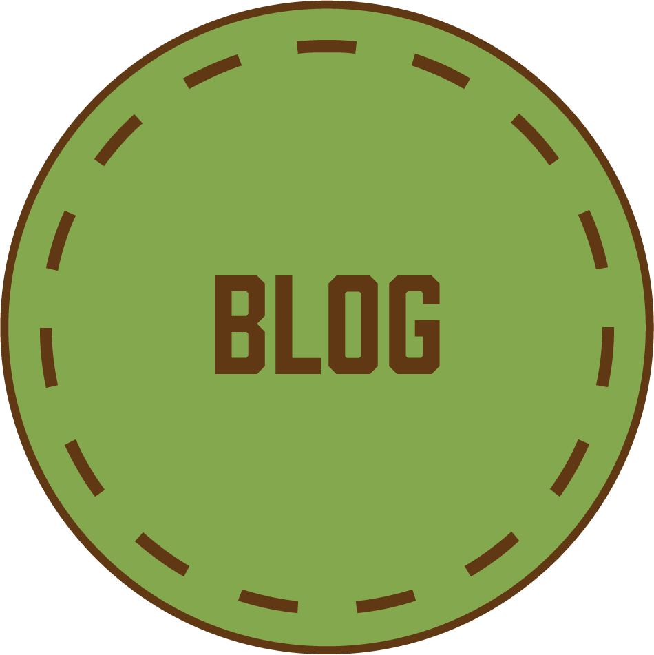 Blog Patch