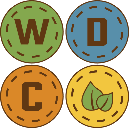 Wonder Day Camp logo - draft 3